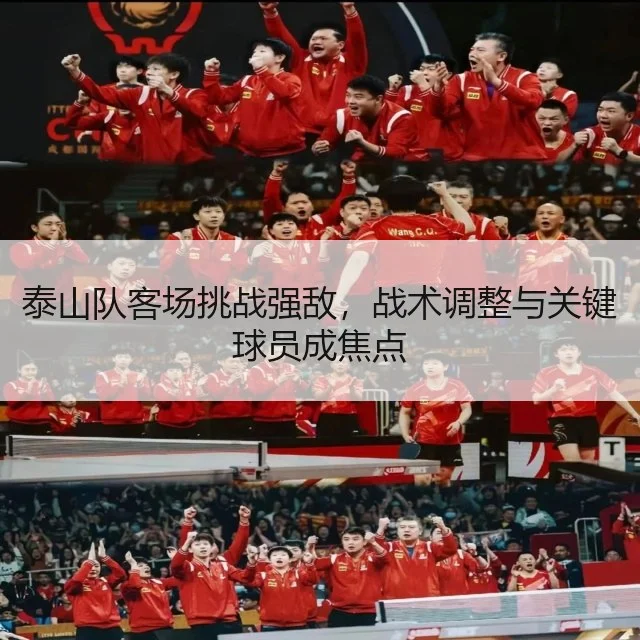 泰山队客场挑战强敌,战术调整与关键球员成焦点